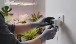 Digitale Zeitschaltuhren für Deinen Grow