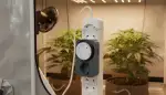 Mechanische Zeitschaltuhren: Robuste Grow-Helfer