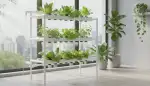 NFT-System Aufbau: Einfach starten