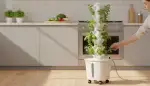 Optimale Dochte und Substrate für Hydroponik