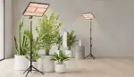 Optimale Pflanzenzucht mit LED Vollspektrum