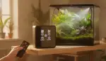 Revolution für Ihr Terrarium: Wie das Intelligente Benebelungssystem mit Timer die Pflege vereinfacht