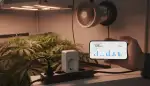 Smarte Kontrolle: WLAN Steckdosen im Grow