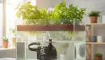 Wasserpumpen für Hydroponik & Aquaponik