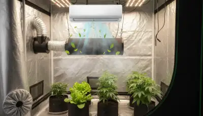 Aktivkohlefilter: Effiziente Growbox Lüftung