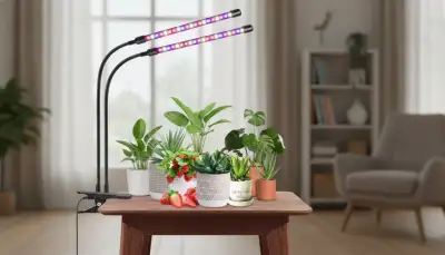 Anzucht: Pflanzenlampen richtig auswählen