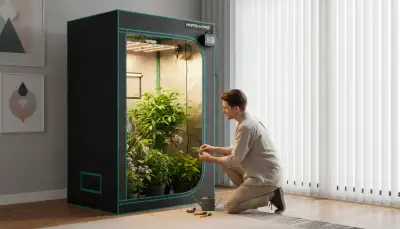 Grow-Zelt kaufen: Der perfekte Start