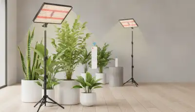 Optimale Pflanzenzucht mit LED Vollspektrum