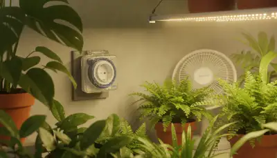 Spritzwassergeschützte Zeitschaltuhren für sicheren Grow