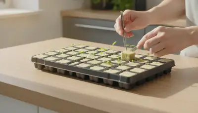 Steinwolle: Das vielseitige Hydroponik-Substrat