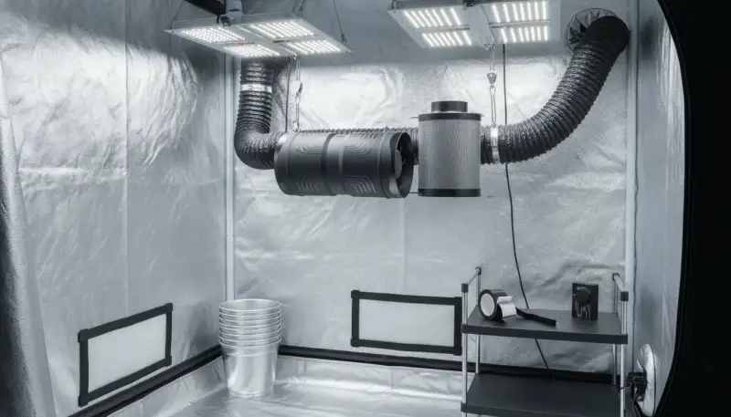 Abluftsystem leise: Ruhe im Growzelt