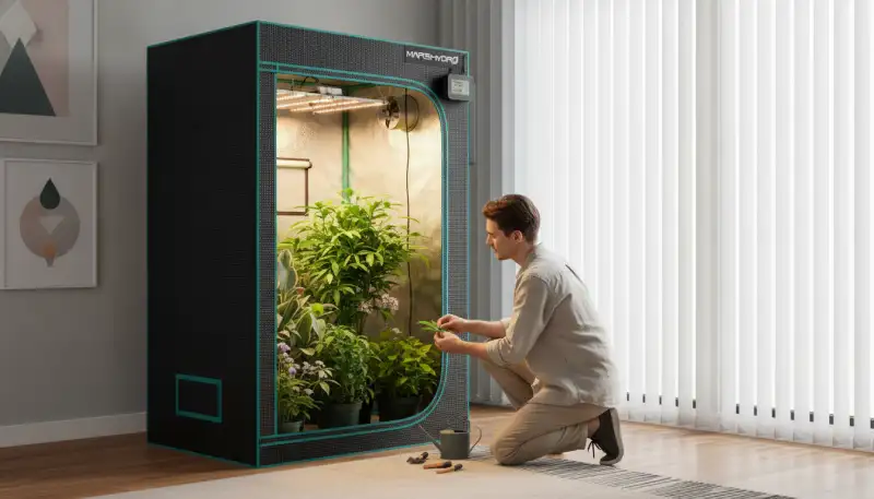Grow-Zelt kaufen: Der perfekte Start